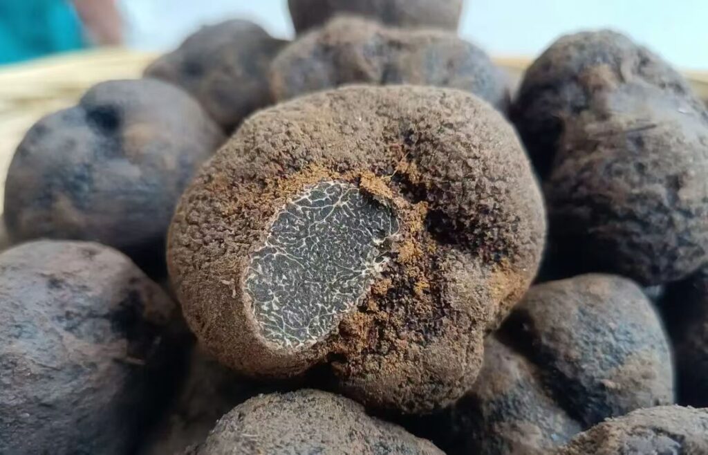 Laminas De Trufa Deshidratadas