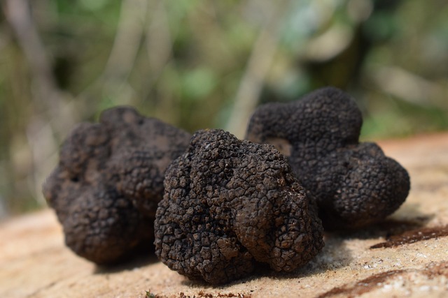 Tranches de Truffes
