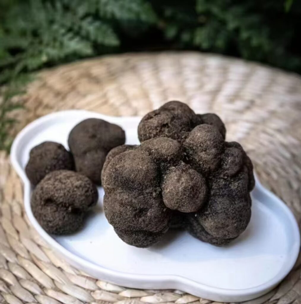 Trufas Negras